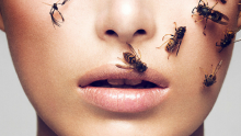 Jad pszczeli – naturalny botoks?